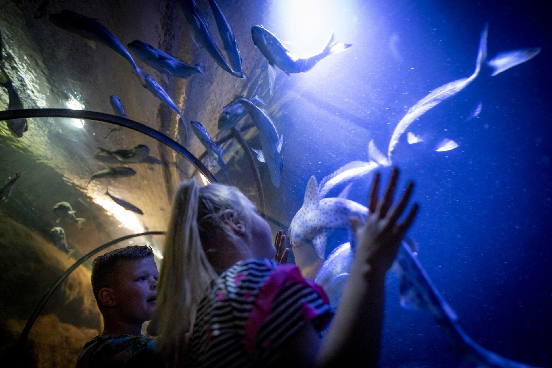 Fort Kijkduin is een uniek Napoleontisch fort uit 1811 dat geschiedenis en natuur op spectaculaire wijze combineert.