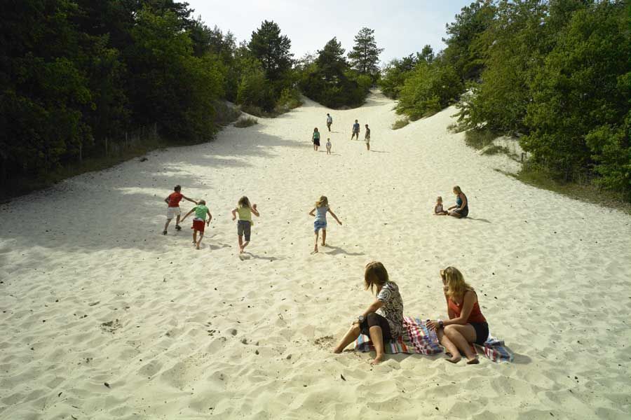Het Klimduin in Schoorl is een van de bekendste trekpleisters van de Nederlandse kust.Dit is een 51 meter hoge duin.