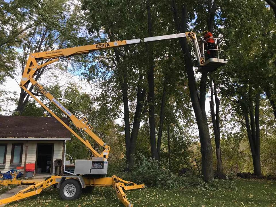 Un homme coupe un arbre avec un ascenseur devant une maison.
