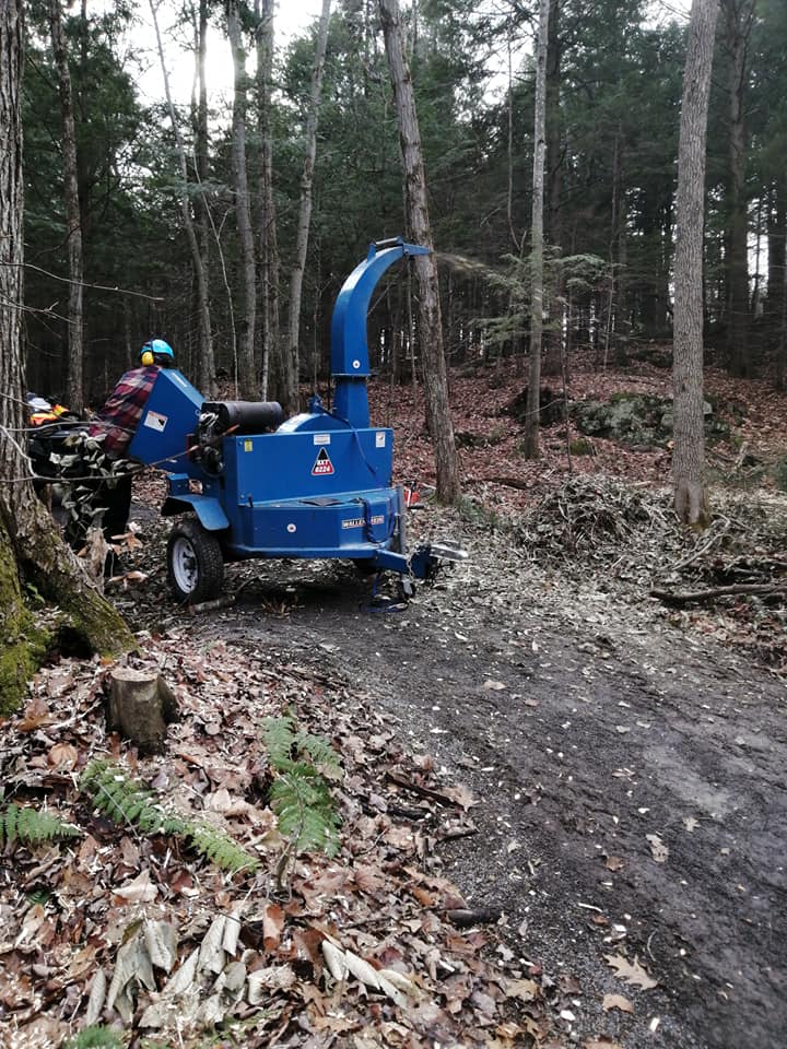 Une machine bleue coupe des arbres dans les bois