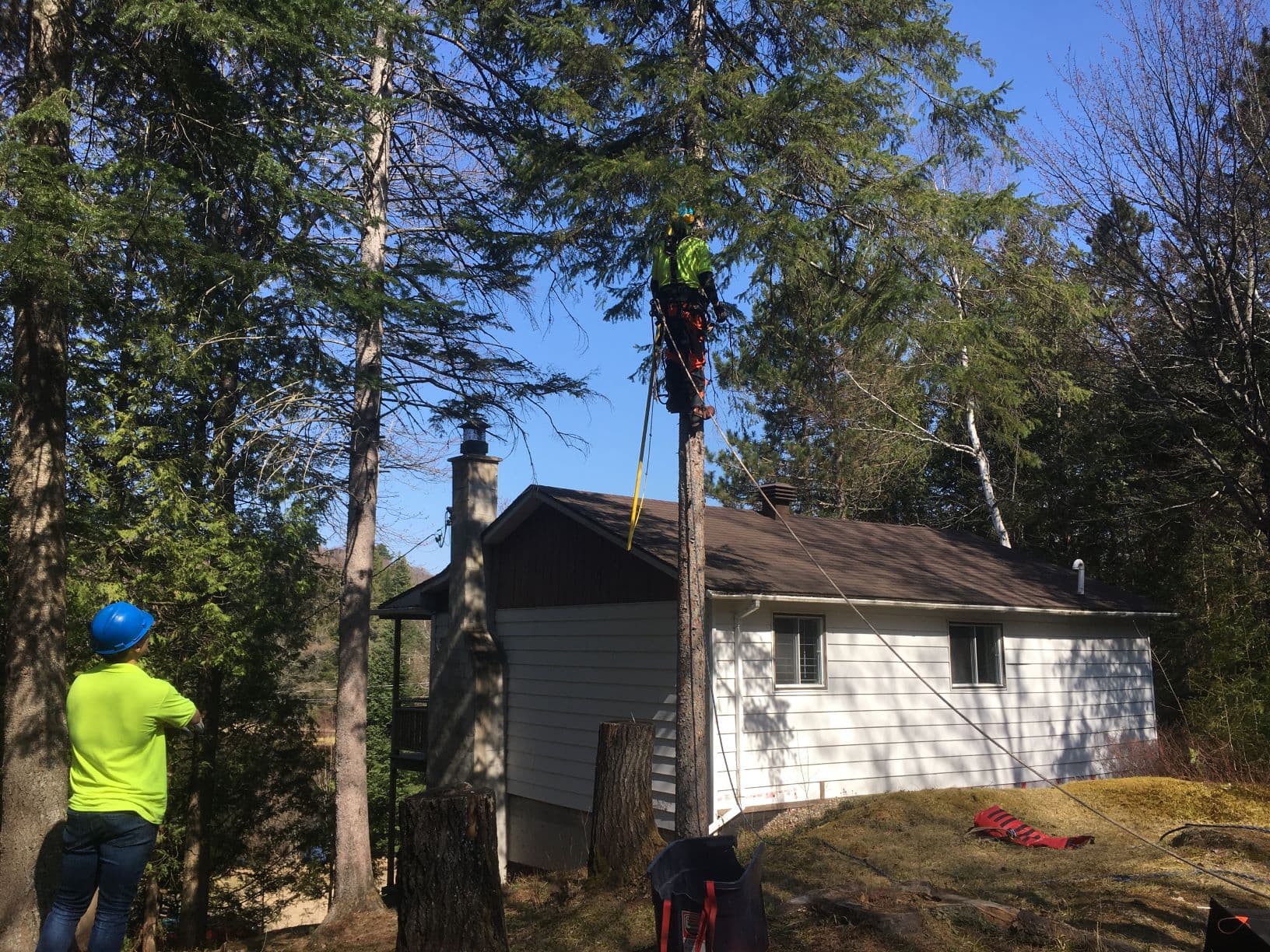 Un homme grimpe à un arbre devant une maison.
