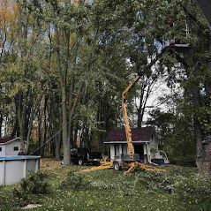Une grue coupe un arbre devant une maison.
