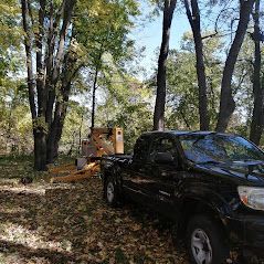 Un camion noir est garé au milieu d'une forêt.