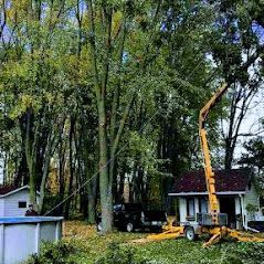 Une grue coupe un arbre dans les bois devant une maison.