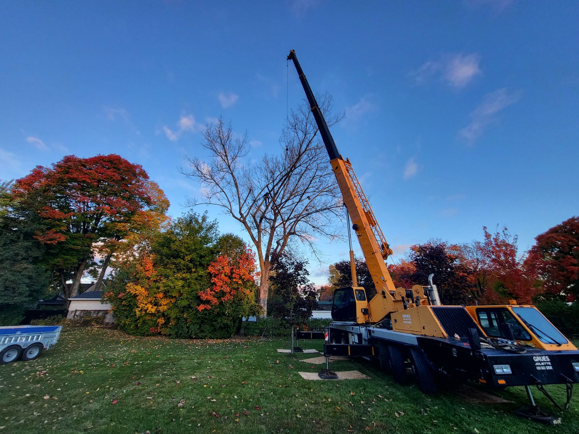 Grue jaune soulevant quelque chose dans une cour avec un feuillage d'automne coloré et un ciel bleu.