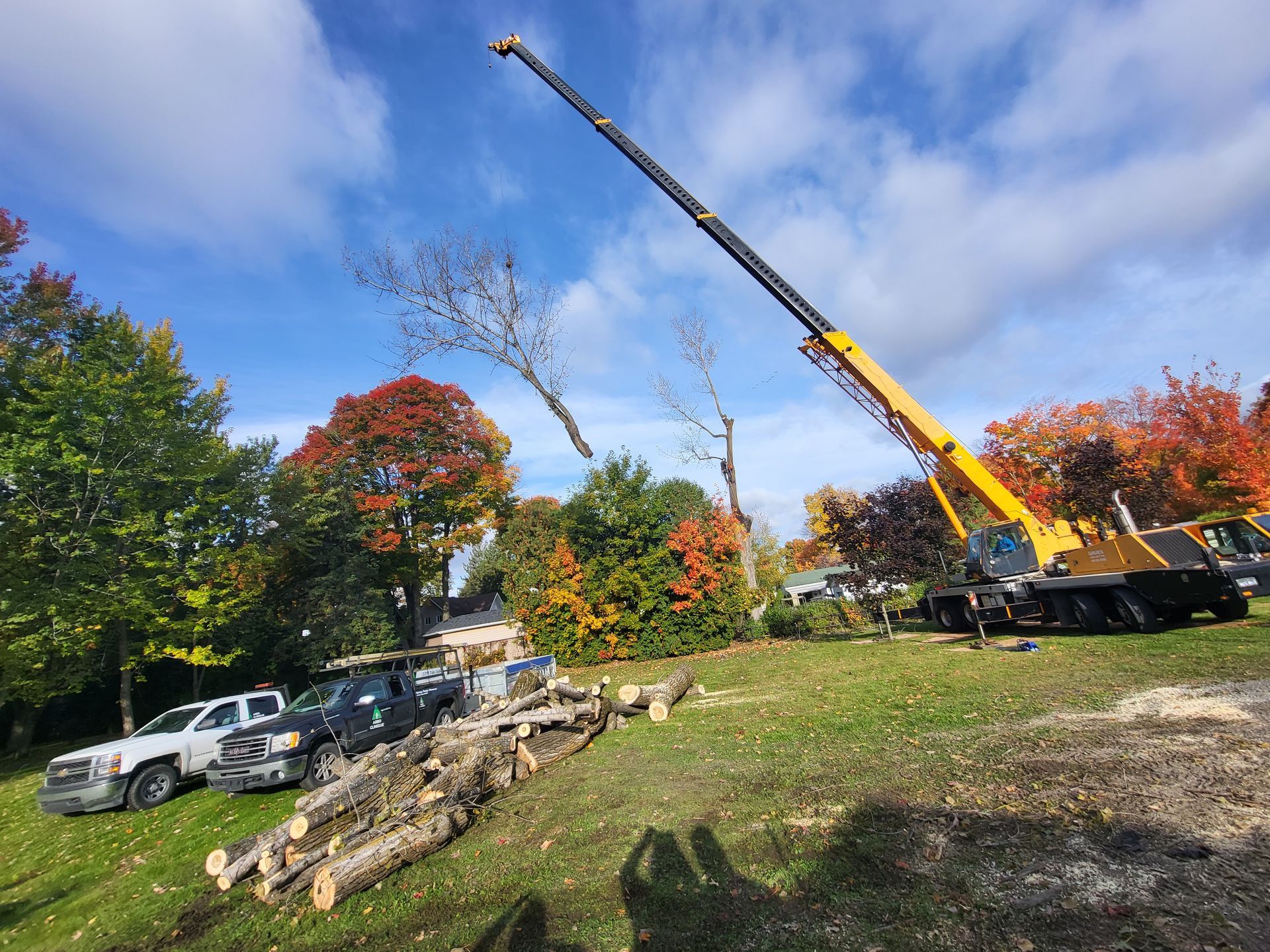 Une grue abat un arbre dans un champ.
