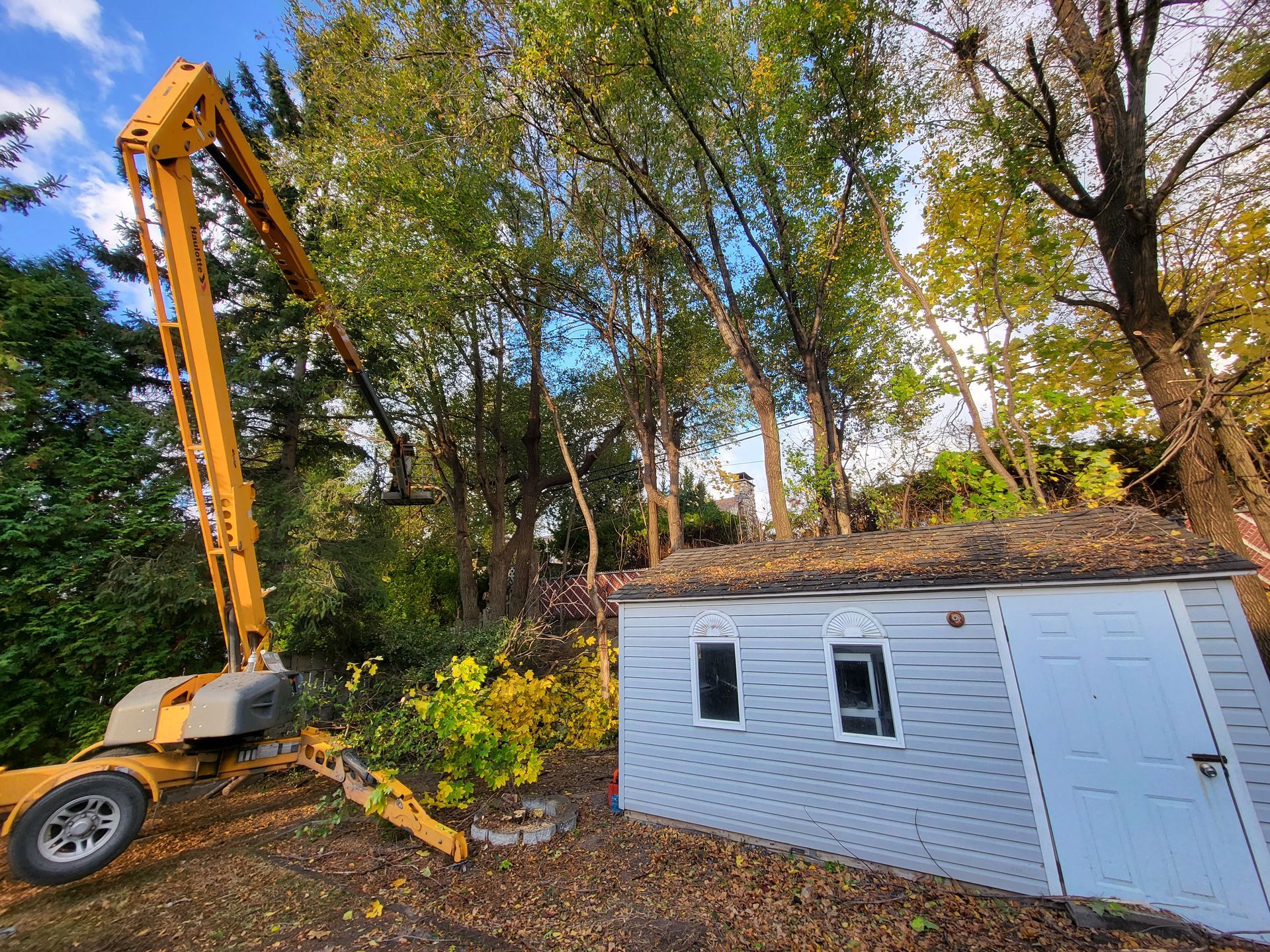 Équipement d'élagage au-dessus d'un hangar, avec des arbres en arrière-plan. Bras jaune, hangar blanc, débris bruns sur le toit.