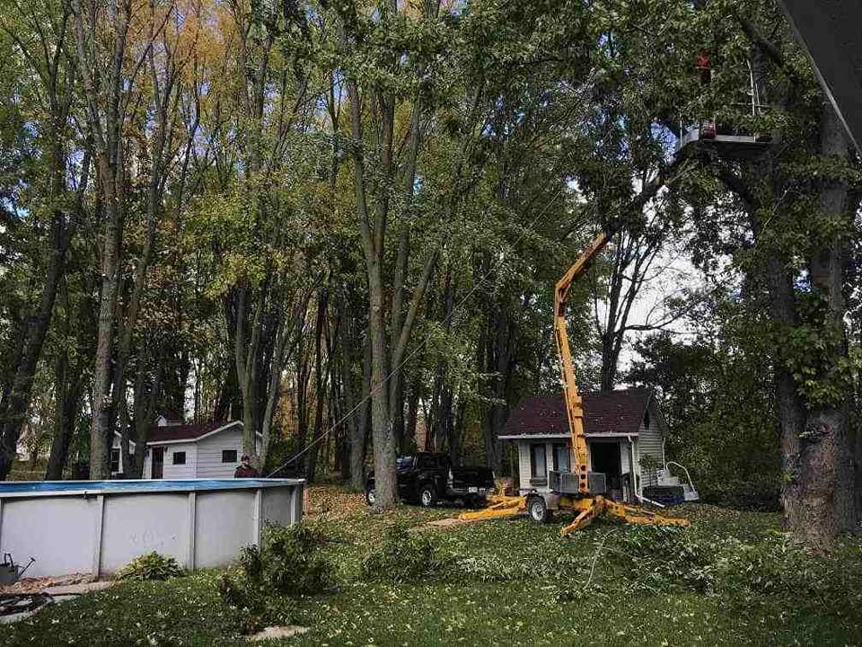 Une grue coupe un arbre devant une maison.