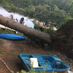 Un bateau est assis au bord d'un lac à côté d'un arbre tombé.