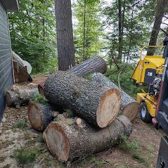 Pile de bûches coupées près d'un broyeur à bois dans une zone boisée.