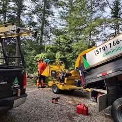 Un homme se tient à côté d'une déchiqueteuse d'arbres et d'un camion.