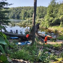 Un groupe de personnes se tient à côté d’un arbre près d’un lac.