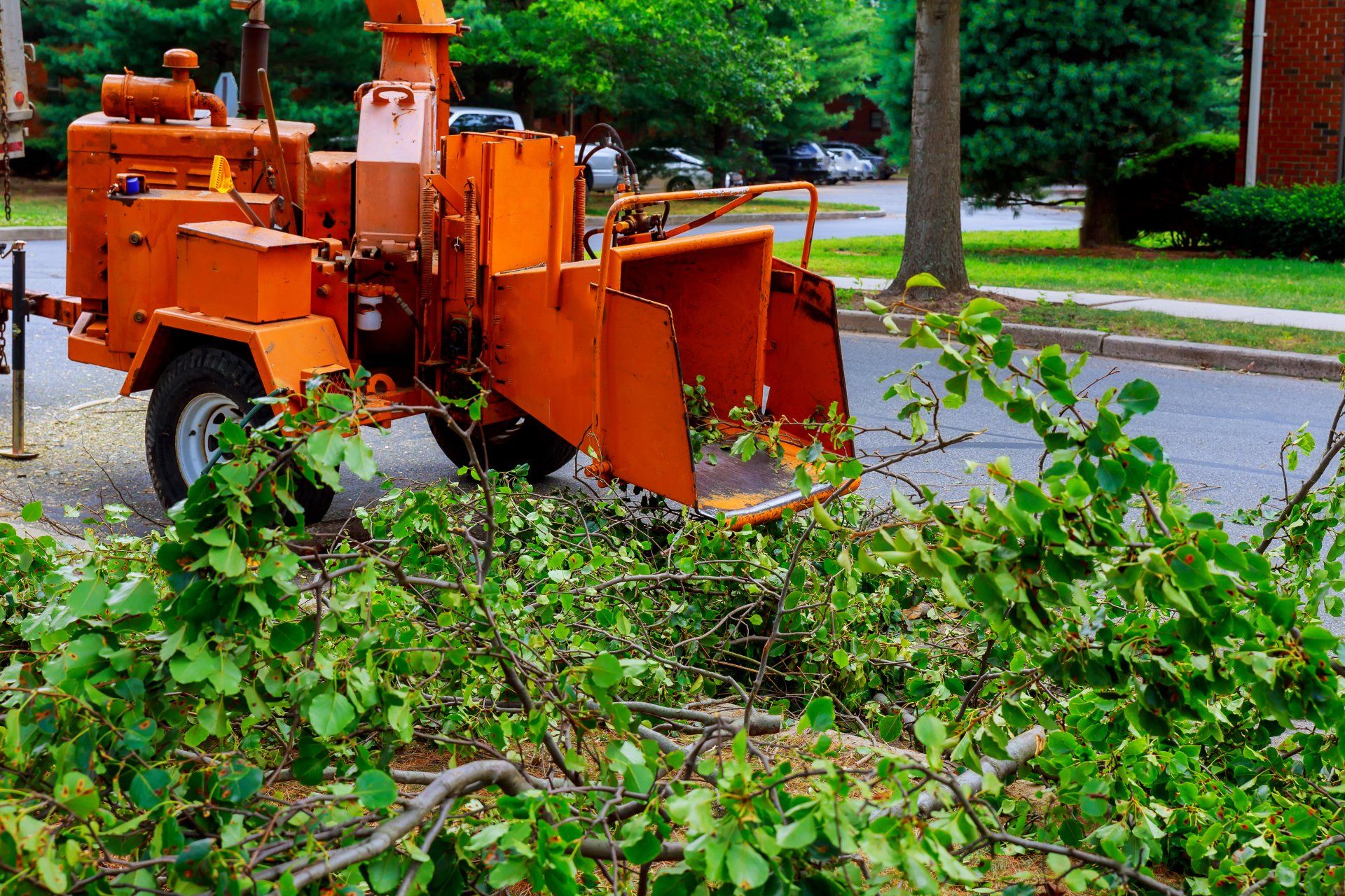 Une déchiqueteuse d'arbres abat un arbre au bord de la route.