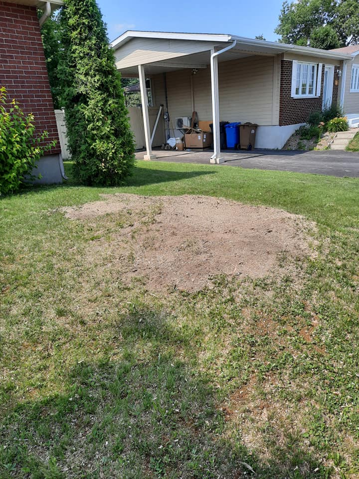 Il y a beaucoup de terre dans l'herbe devant une maison.