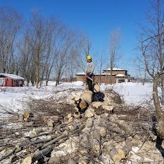 Un homme se tient au sommet d'un tas de bûches dans la neige.
