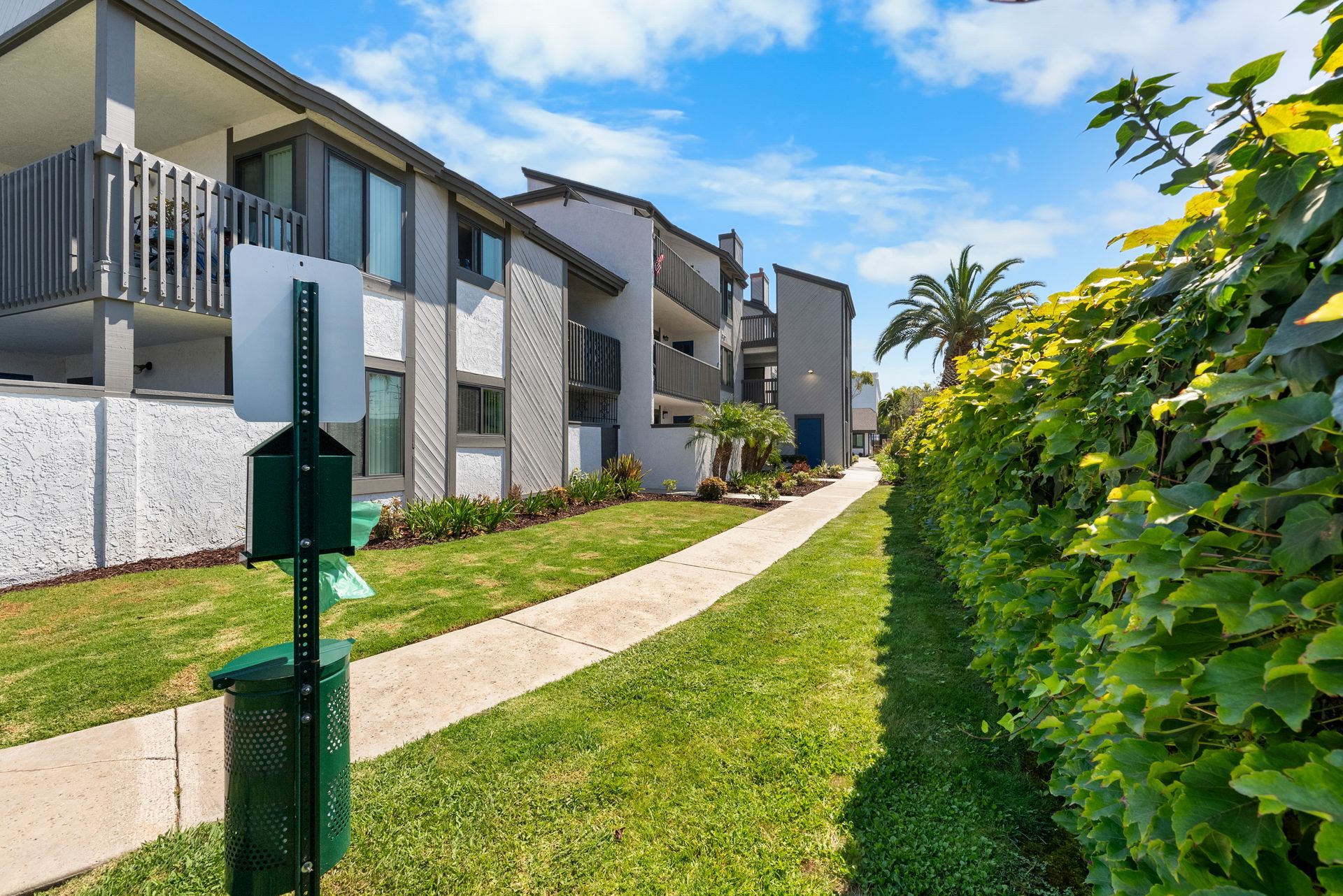 Grass-lined path and dog bag station