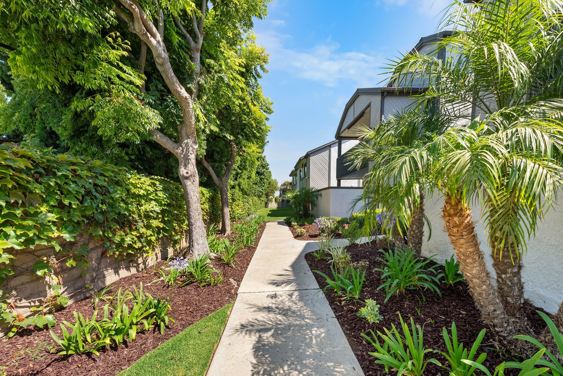 walkway and landscaping