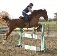 horse riding at Tanglewood Equestrian Centre