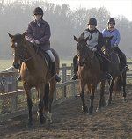 horse riding at Tanglewood Equestrian Centre