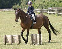 horse riding for children at Tanglewood Equestrian Centre