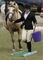 horse riding at Tanglewood Equestrian Centre