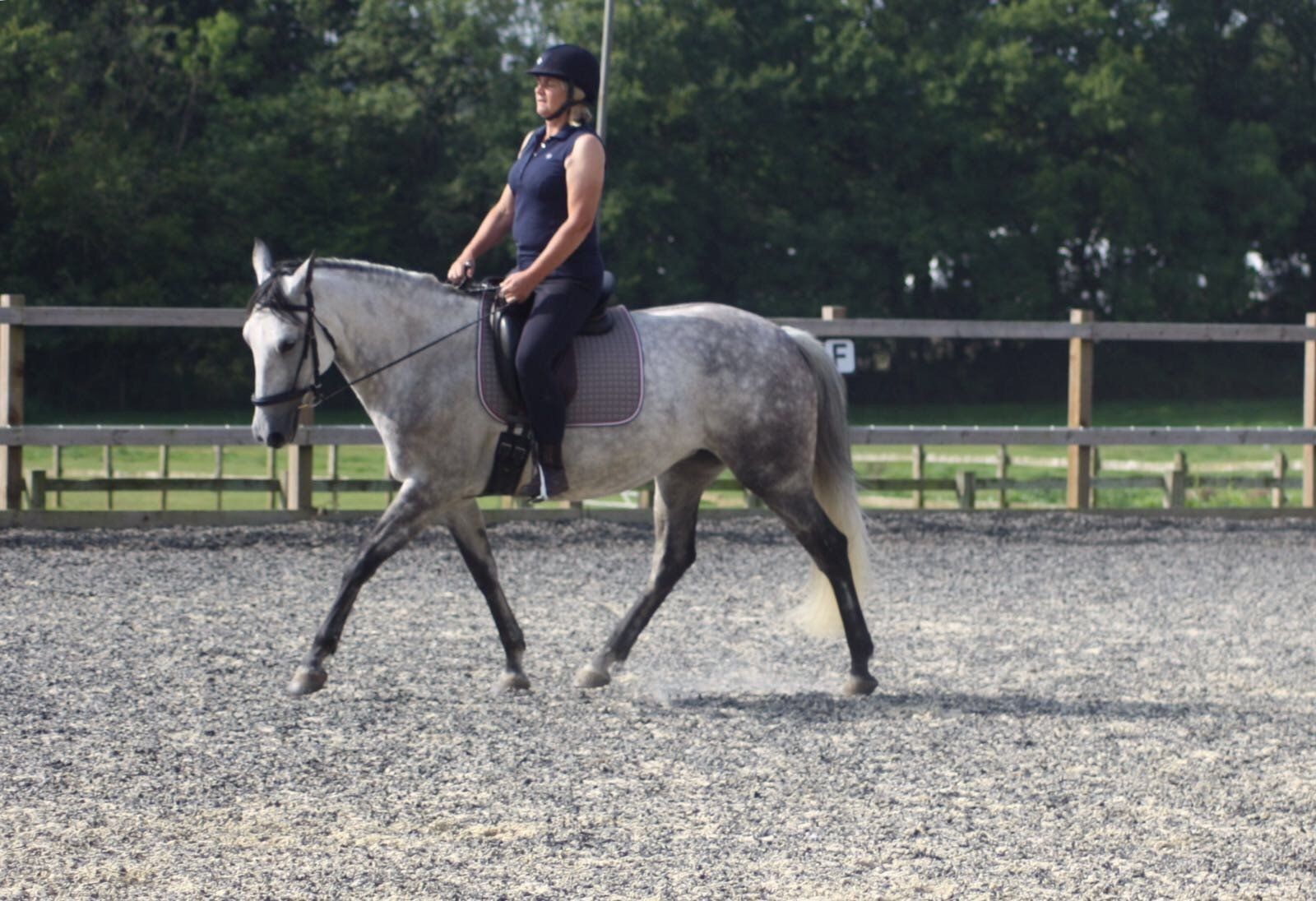 horse riding experience