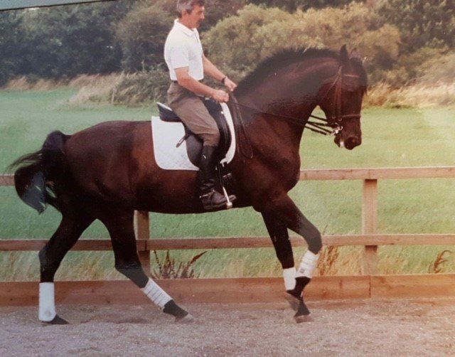 horse riding at Tanglewood Equestrian Centre