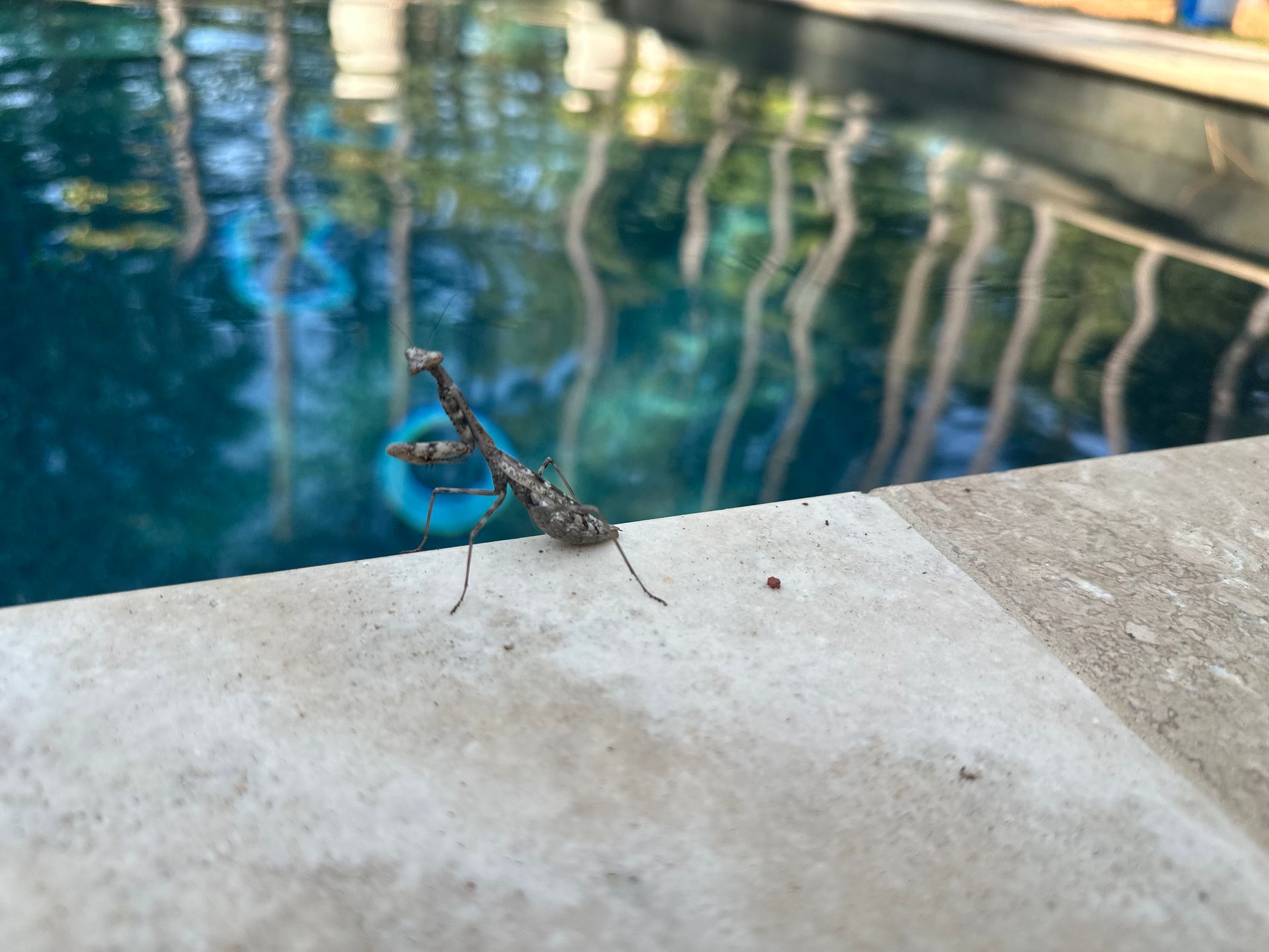 Boy with goggles splashing in a blue pool, arms raised, joyous expression.