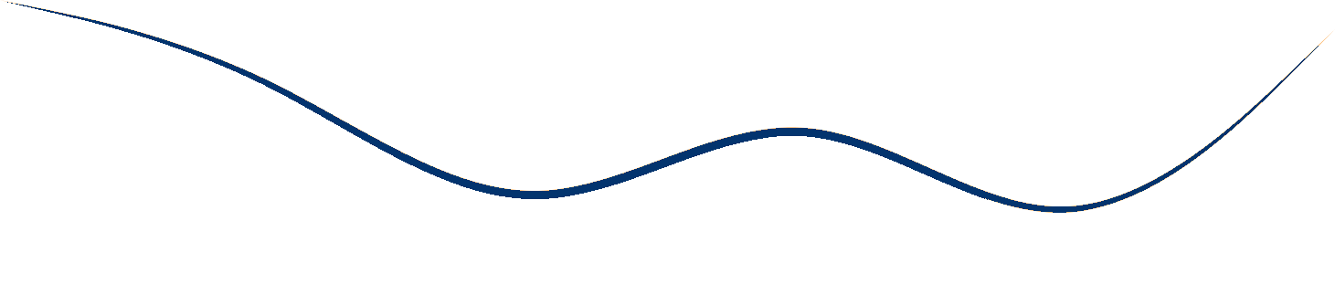 A wavy, dark blue line curves across a white background.