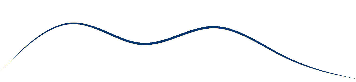 A curved, dark blue line that rises then dips, then rises again, then gently dips.