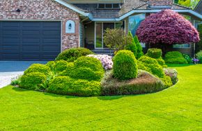 Front yard with neatly trimmed green shrubs and a purple tree in front of a brick house and garage