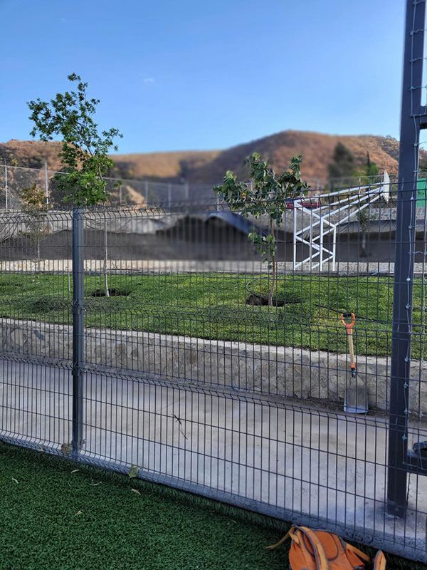 MULTICERCAS MULTICERCAS