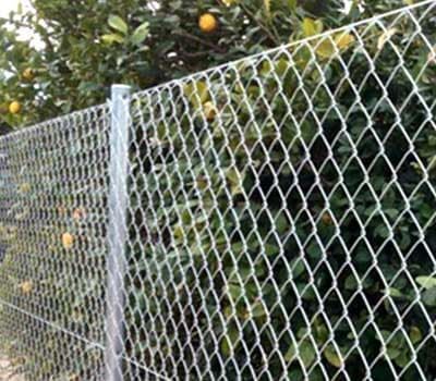 Una valla metálica con un árbol al fondo.