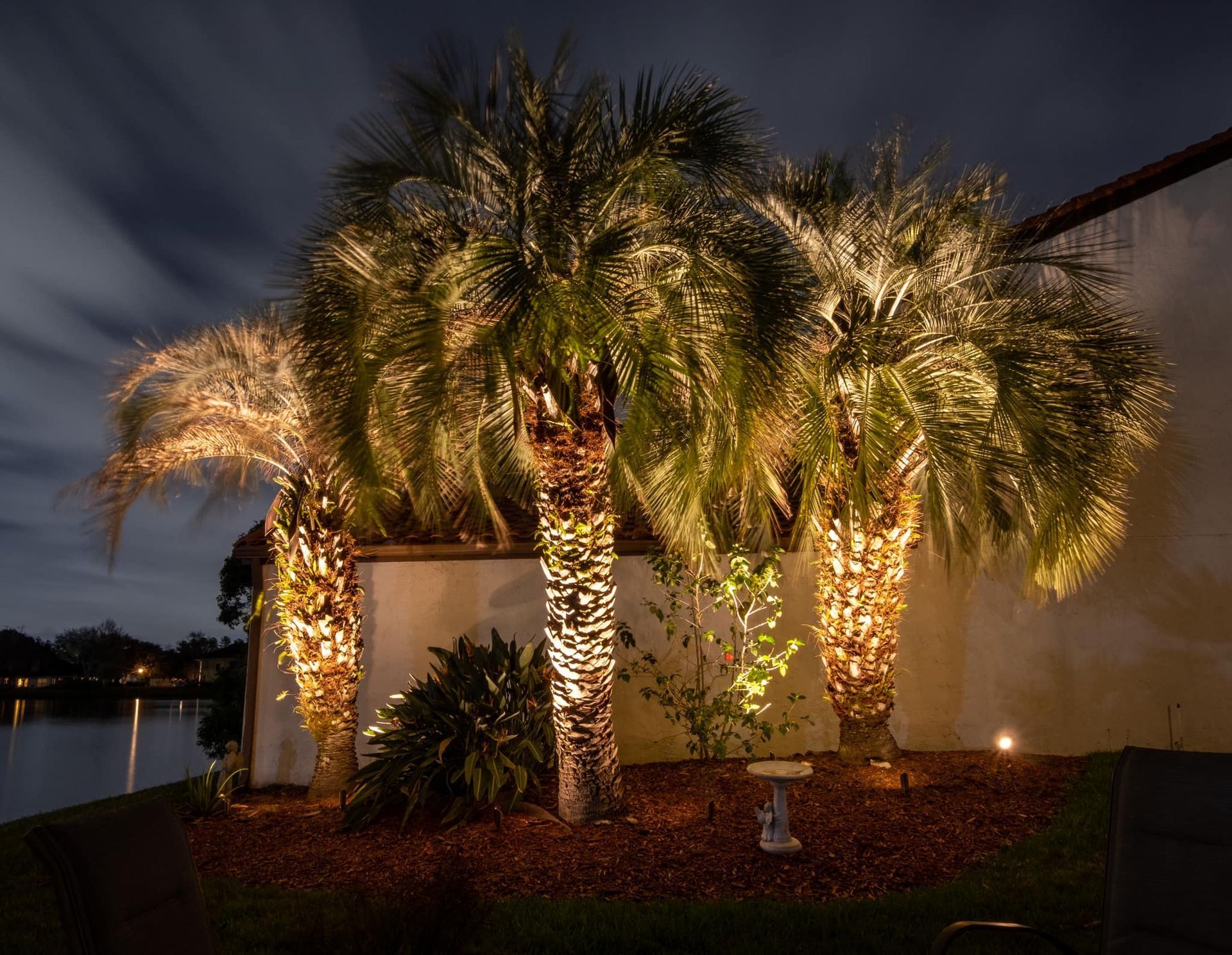 Three palm trees are lit up at night in front of a house.
