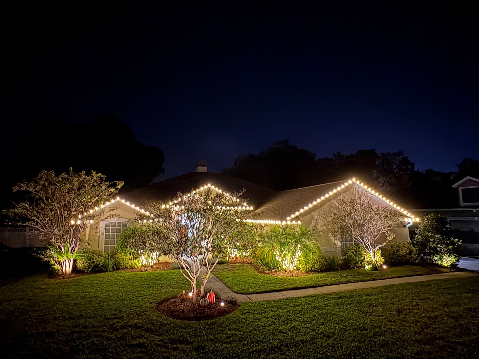 A house at night with Christmas lights outlining the roof and illuminating the landscaping.