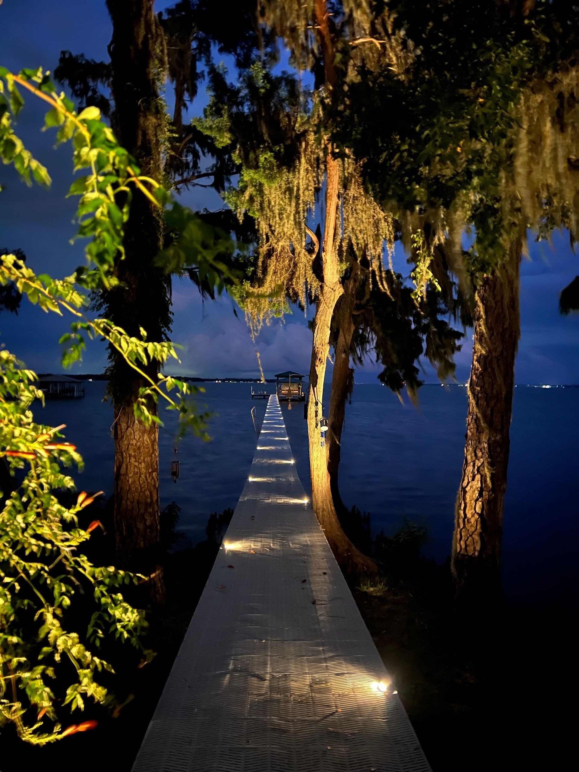 Lit walkway on a pier extends into a dark body of water, flanked by trees with hanging moss.