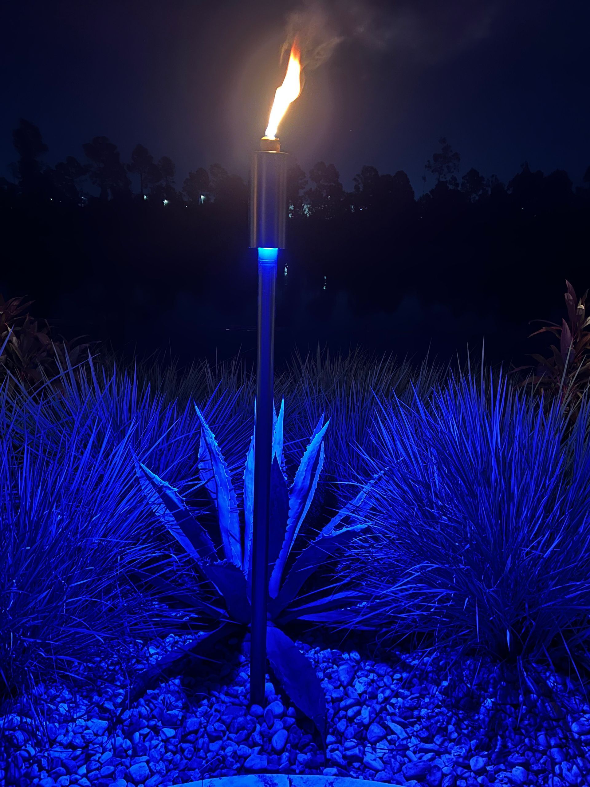 Outdoor tiki torch burning, lit with a blue glow around plants at night.