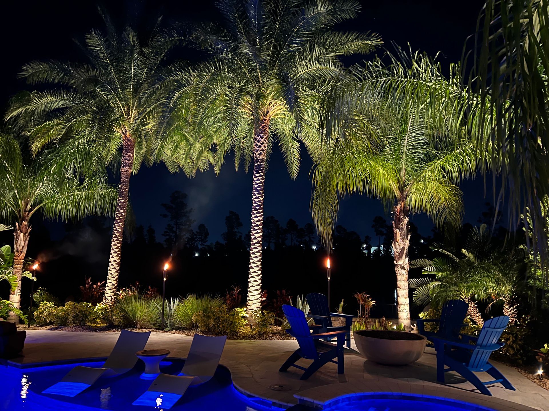 Palm trees illuminated at night, by a pool with blue chairs and tiki torches.