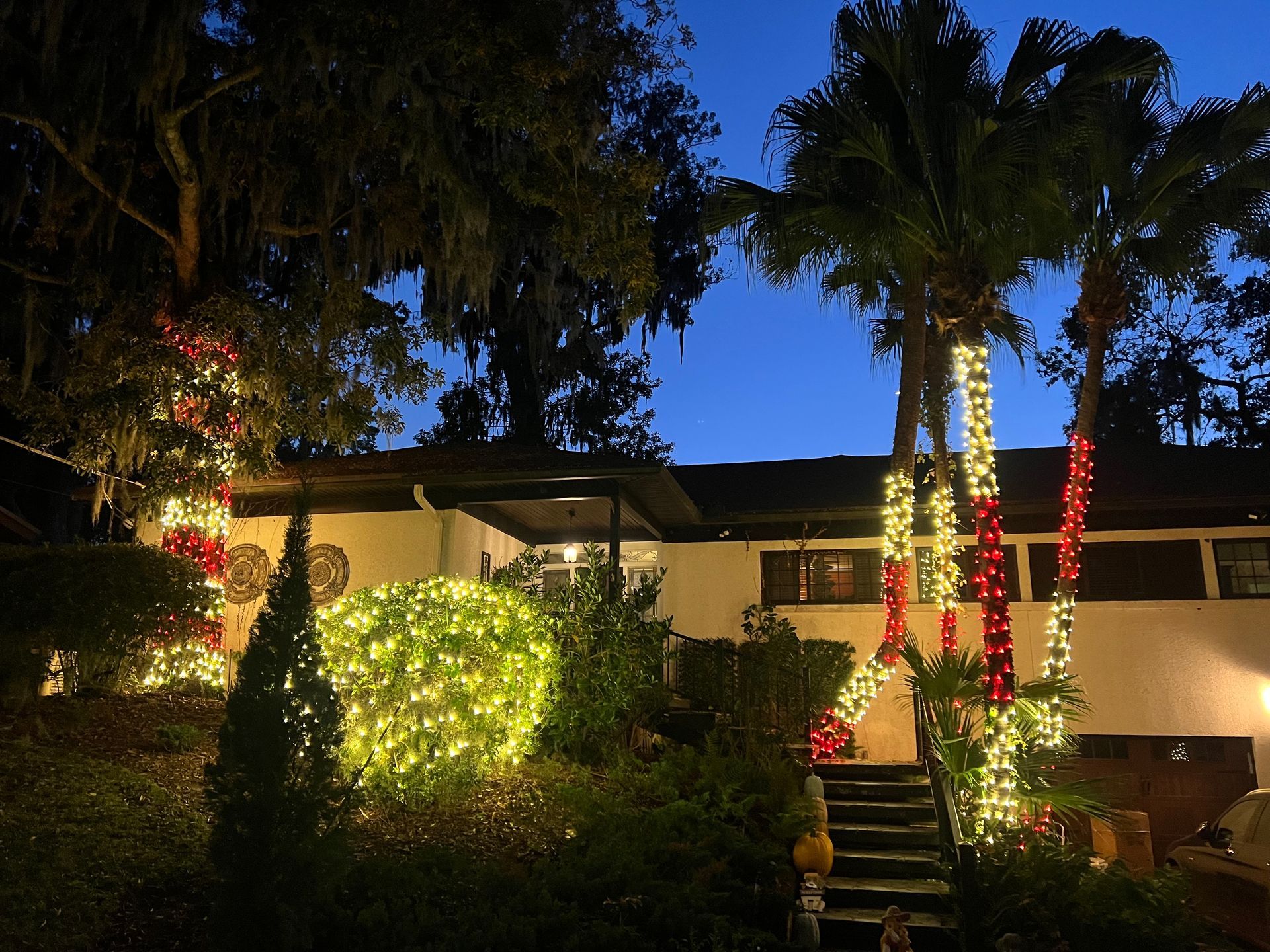 House decorated with Christmas lights at dusk, with palm trees and a shrubbery.