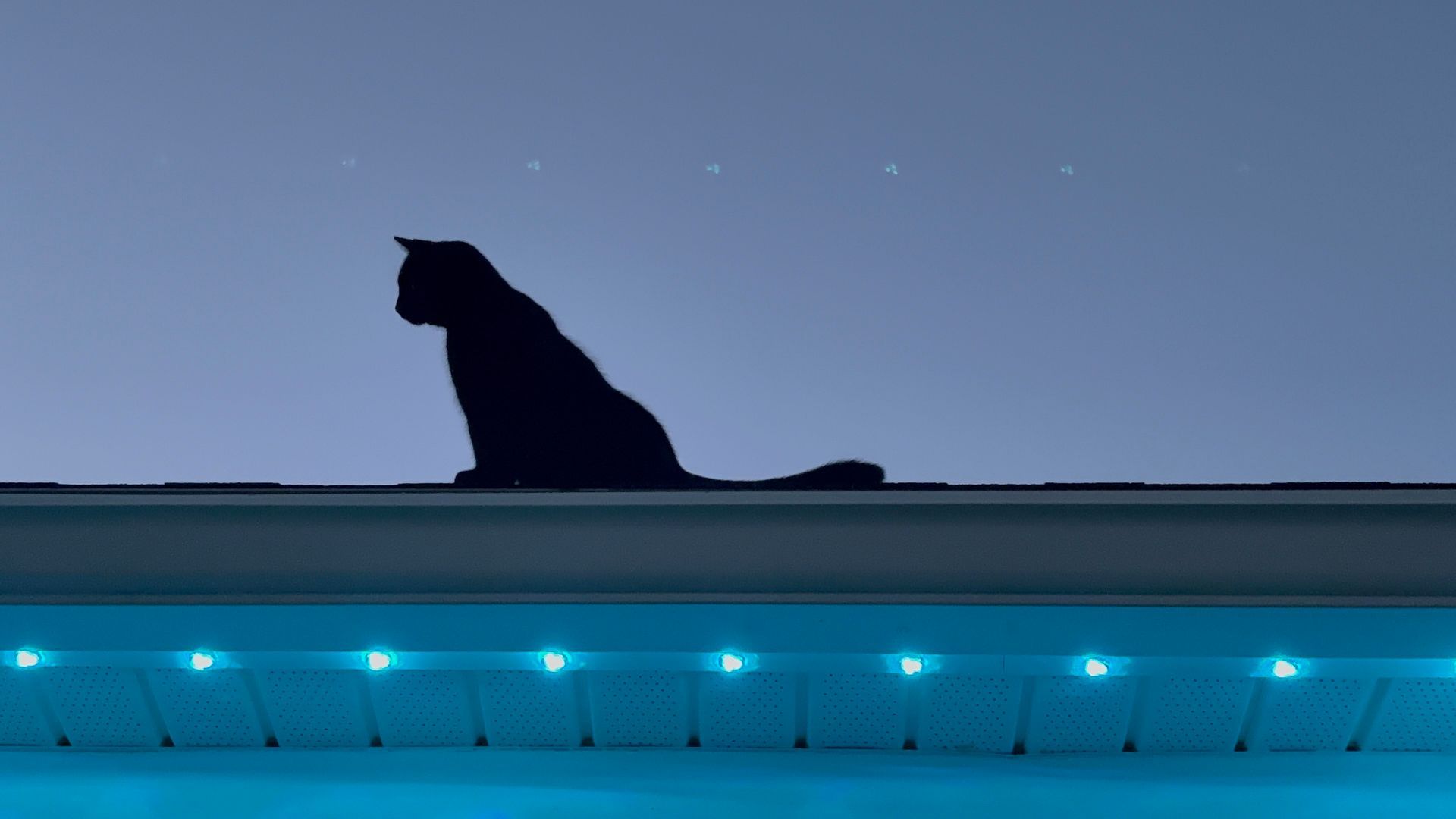 Black cat silhouette sitting on a roof's edge against a blue sky, above blue LED lights.