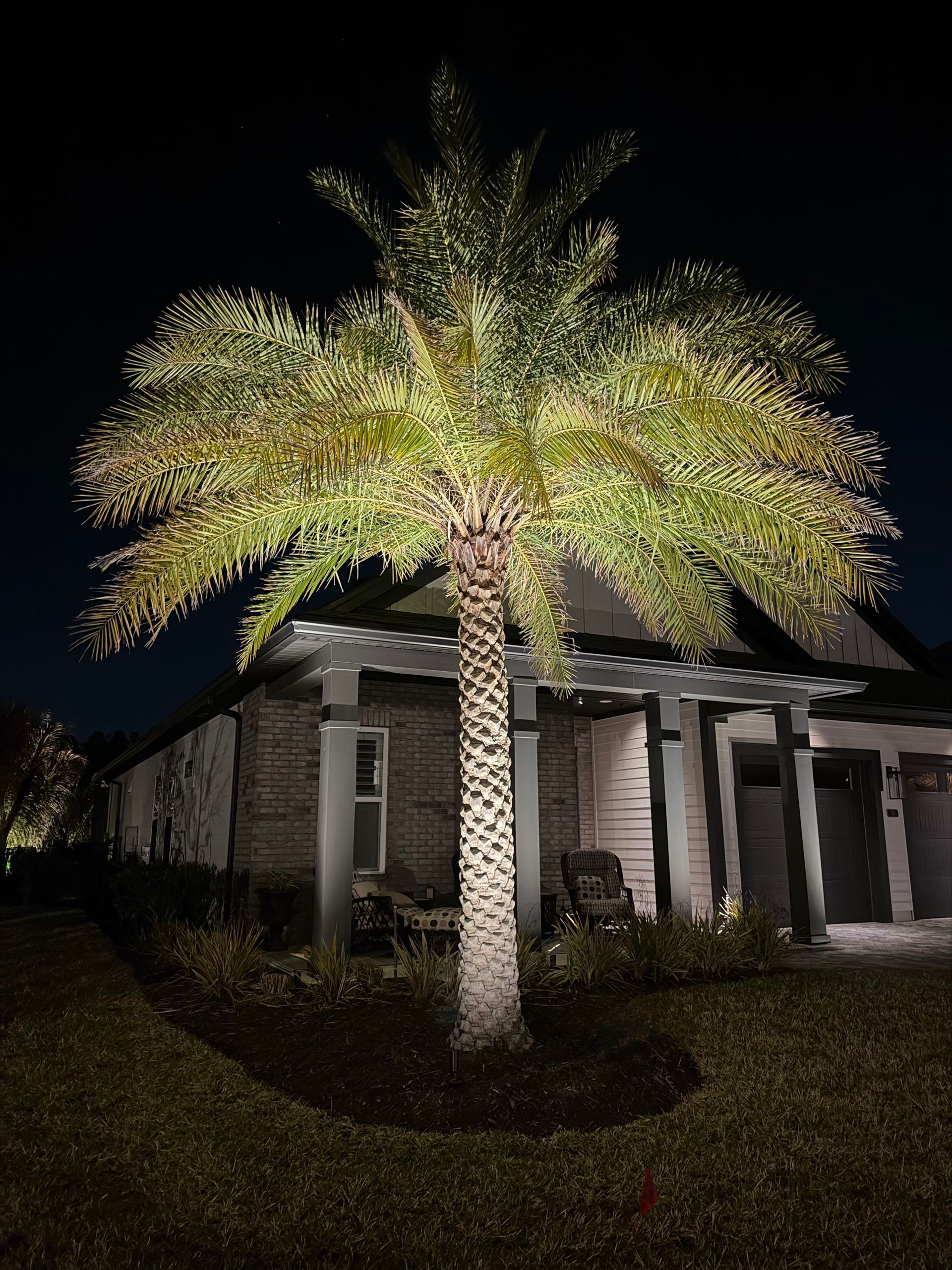 Palm tree illuminated at night in front of a house with white trim.