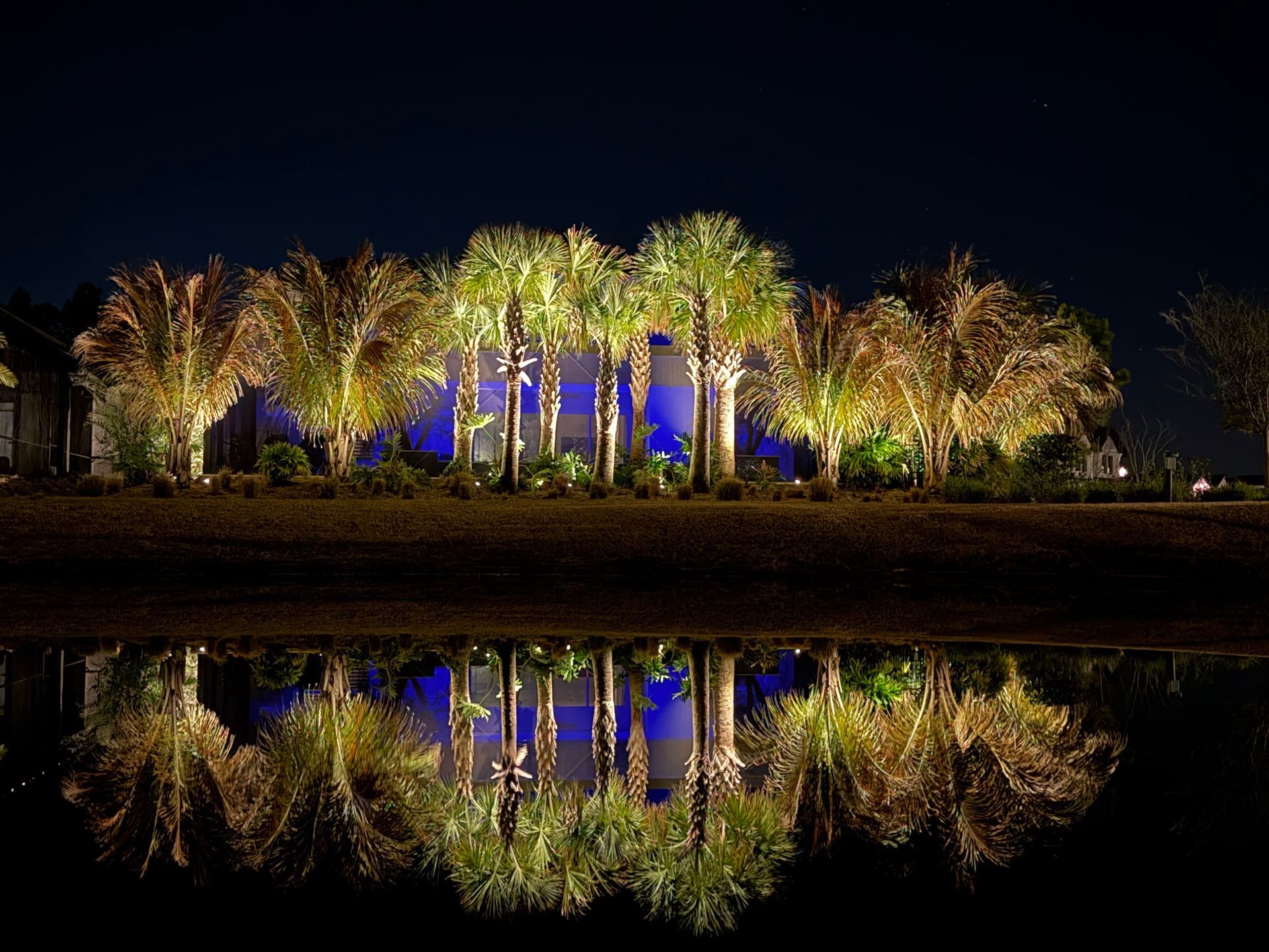Palm trees illuminated at night reflected in calm water.