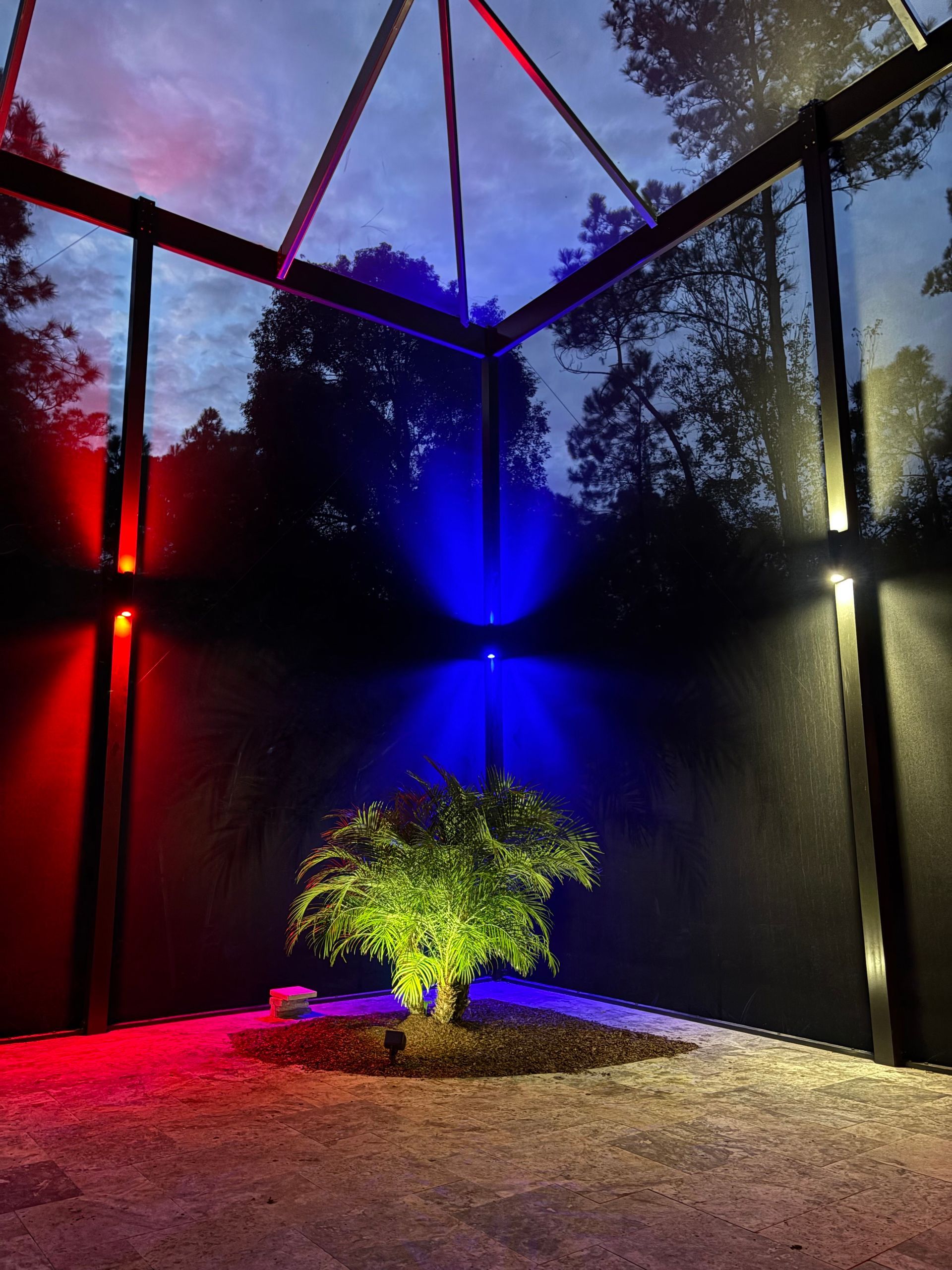 Modern glass structure at night, lit with red, blue, and yellow spotlights on a small tree, gravel ground, forest background.