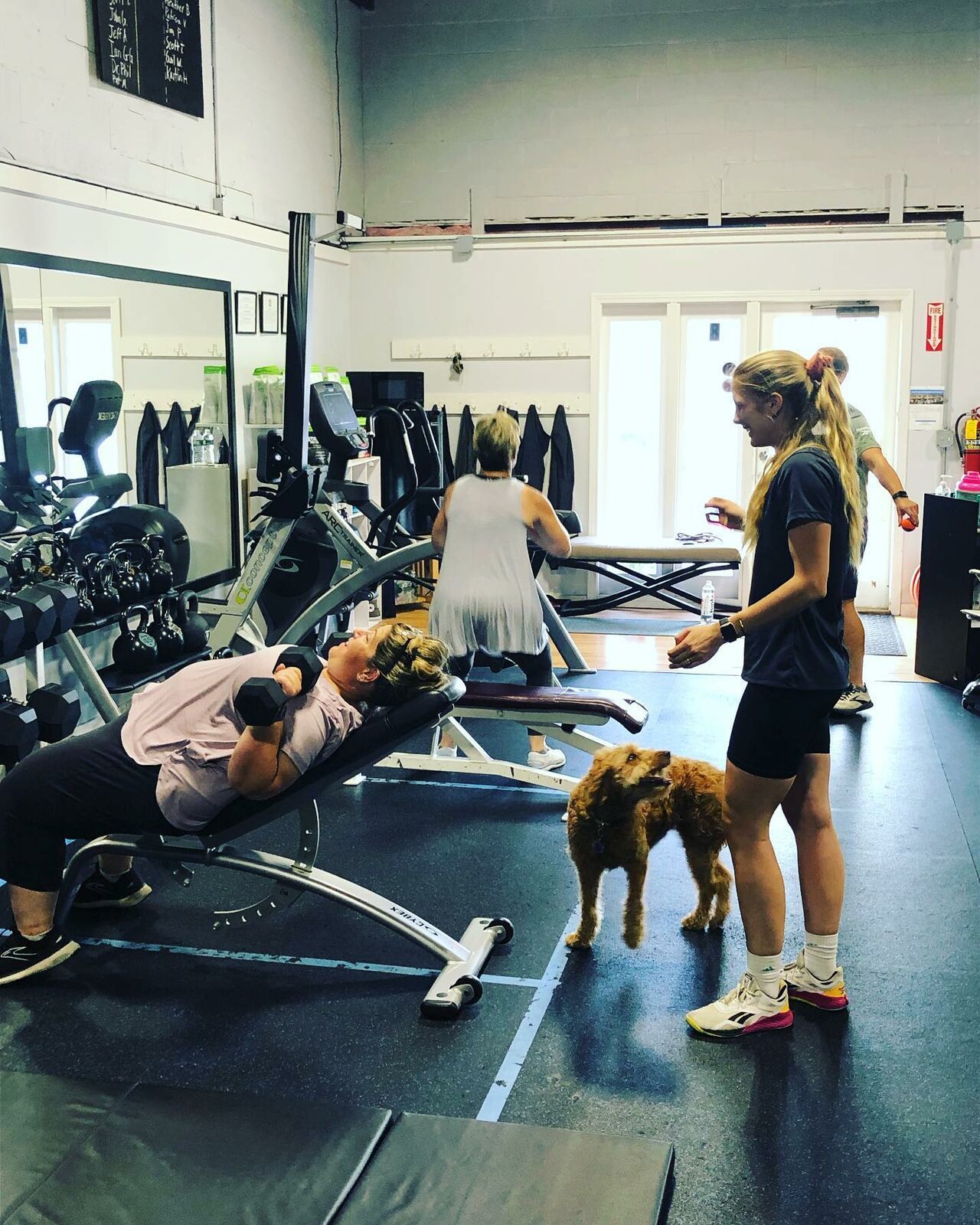 A woman is sitting on a bench in a gym next to a dog.