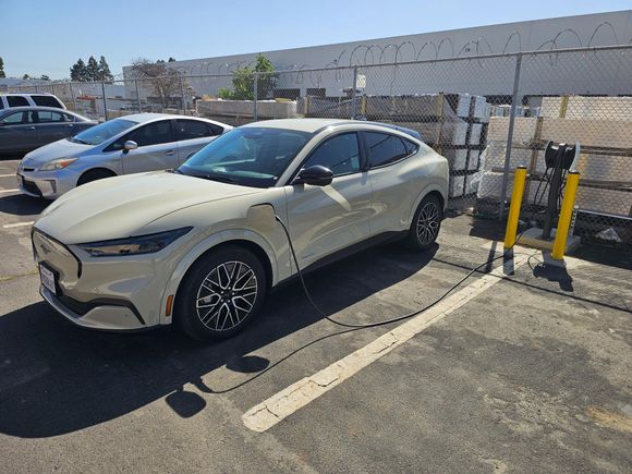 Electrical panel with circuit breakers and colored wires inside a metal enclosure.