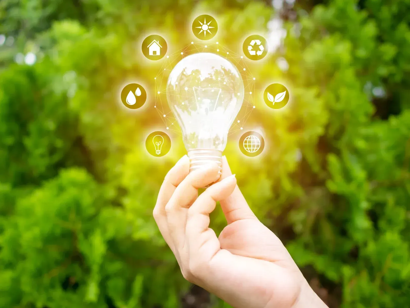 Hand holding a glowing lightbulb with environmental icons against a blurred green background.