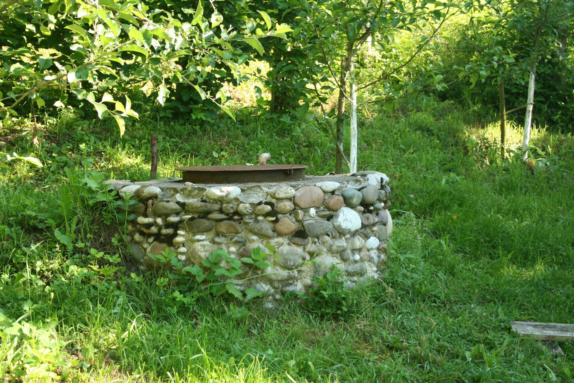 A stone well in the middle of a lush green forest.