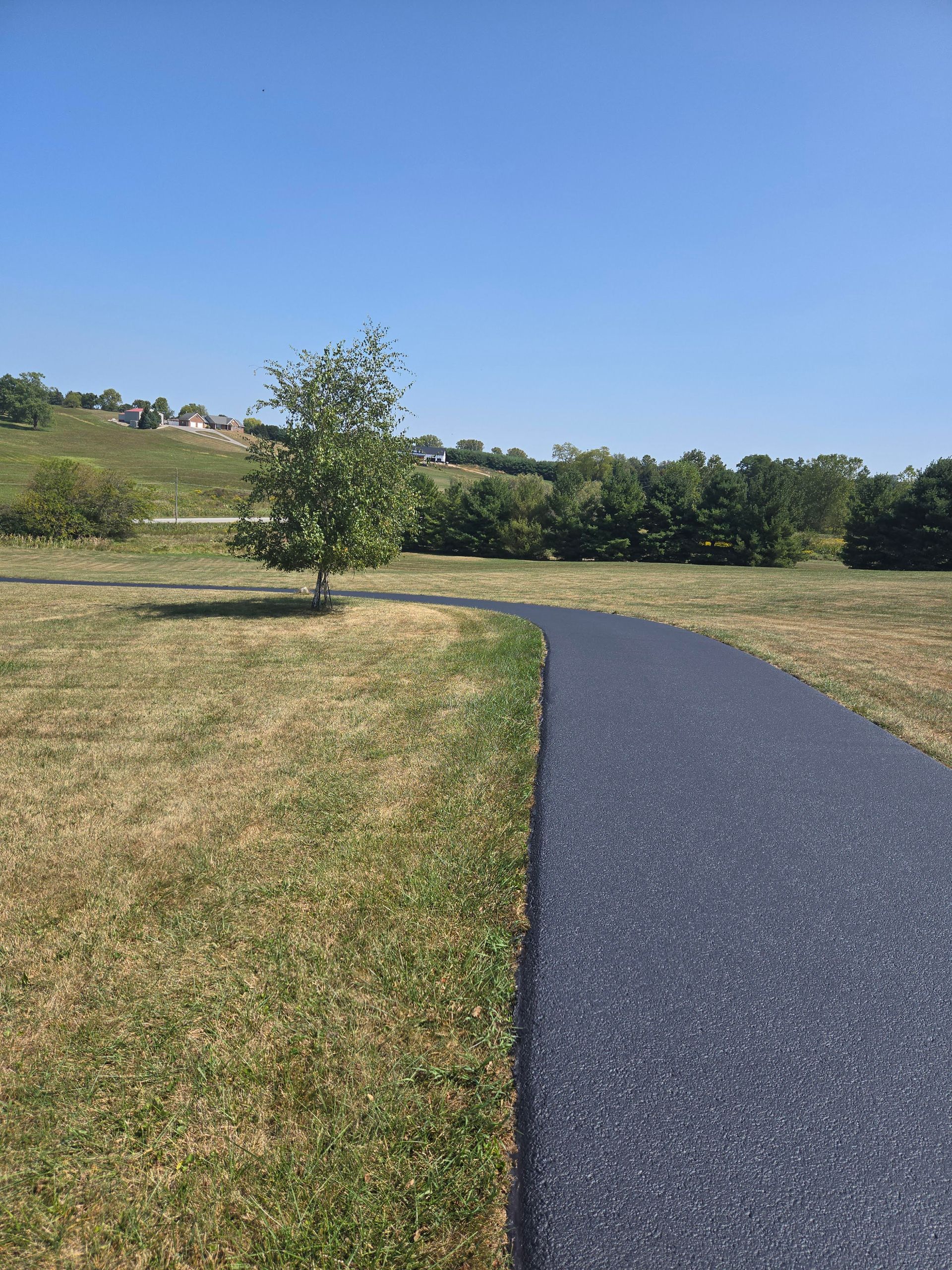 A path going through a grassy field with a tree in the middle