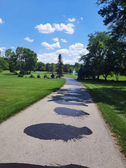 A path in a park with trees and grass on both sides