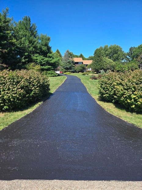 Newly sealed black asphalt driveway leading to a house, flanked by green bushes and trees, under a bright blue sky.